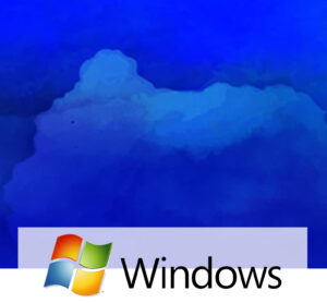 We sell software from Windows