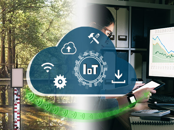 IoT-enheder, edge computere or networking equipment IoT-enheder, edge computere or networking equipment