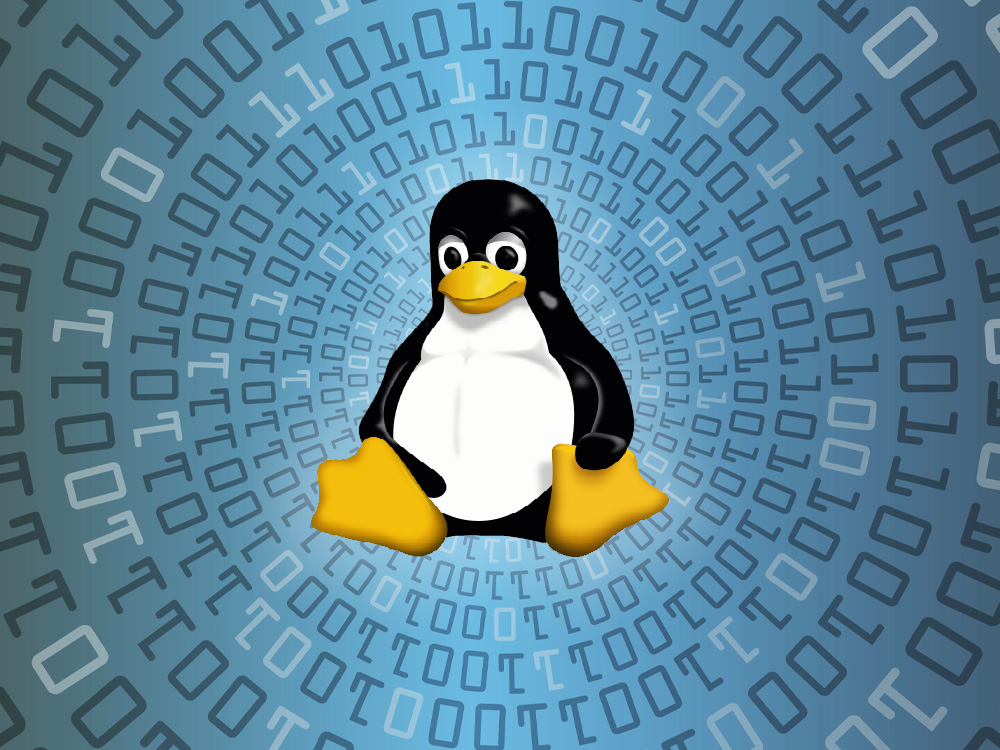 What is Machine Vision?<br />
